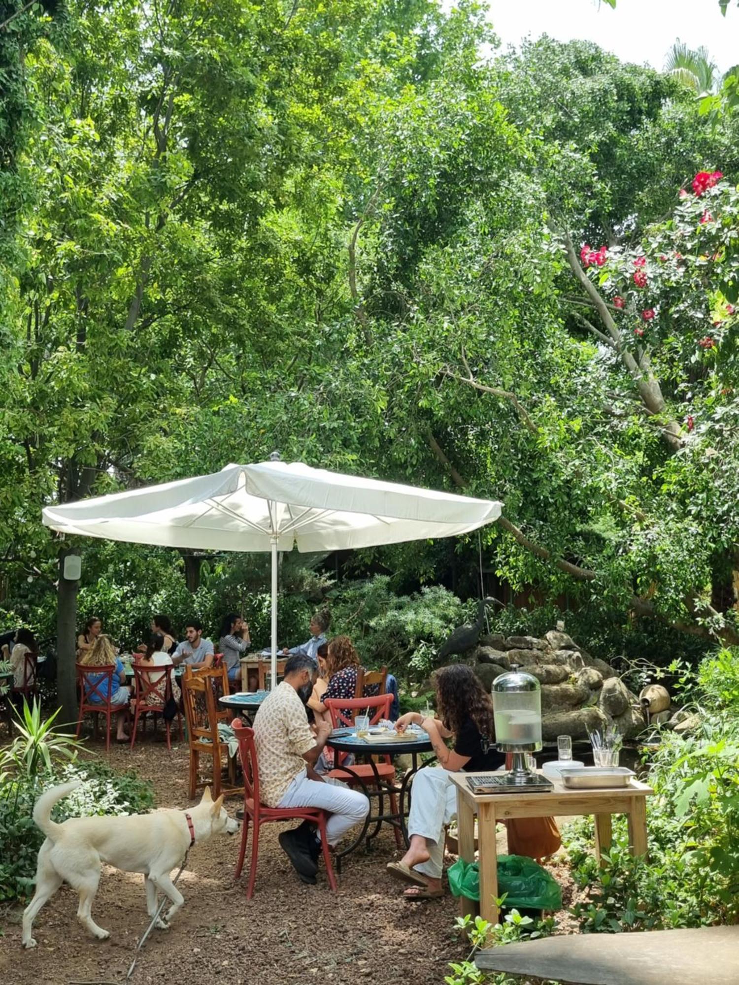 Vitrage Holiday Village And Spa بيت هليل المظهر الخارجي الصورة