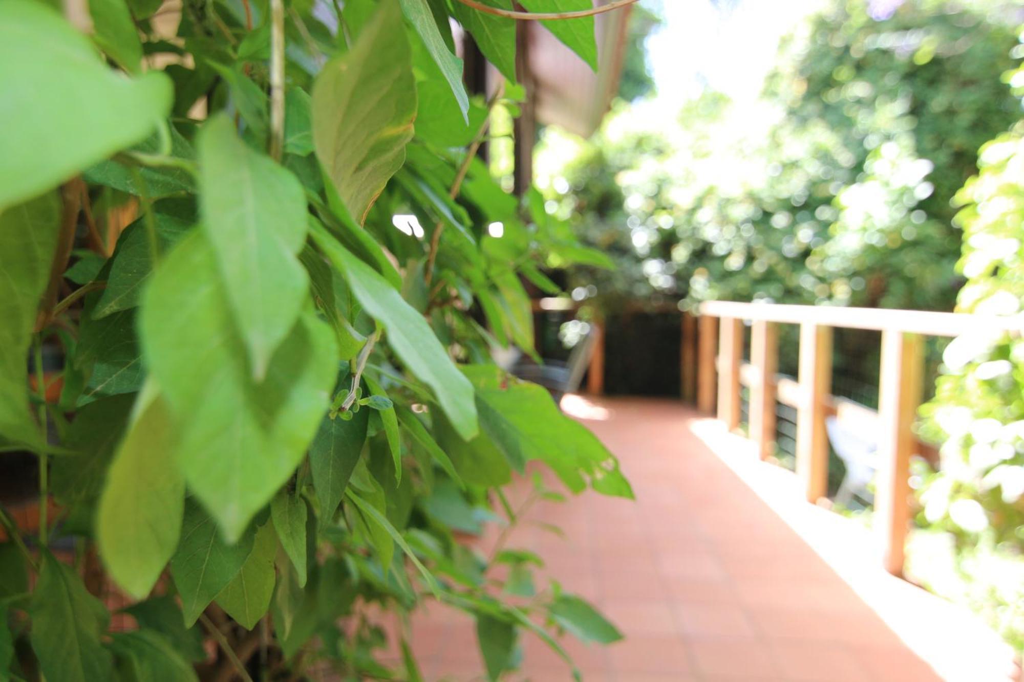 Vitrage Holiday Village And Spa بيت هليل الغرفة الصورة